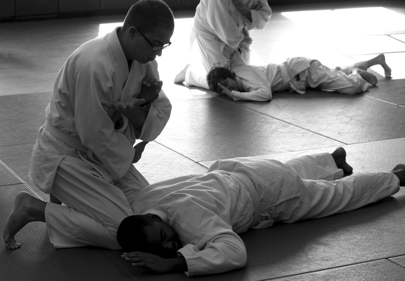 Judo Technique
